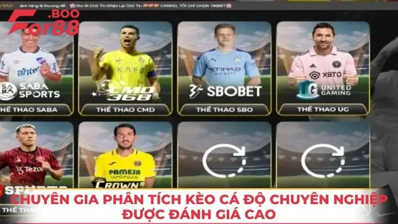 Chuyên gia phân tích kèo cá độ chuyên nghiệp được đánh giá cao